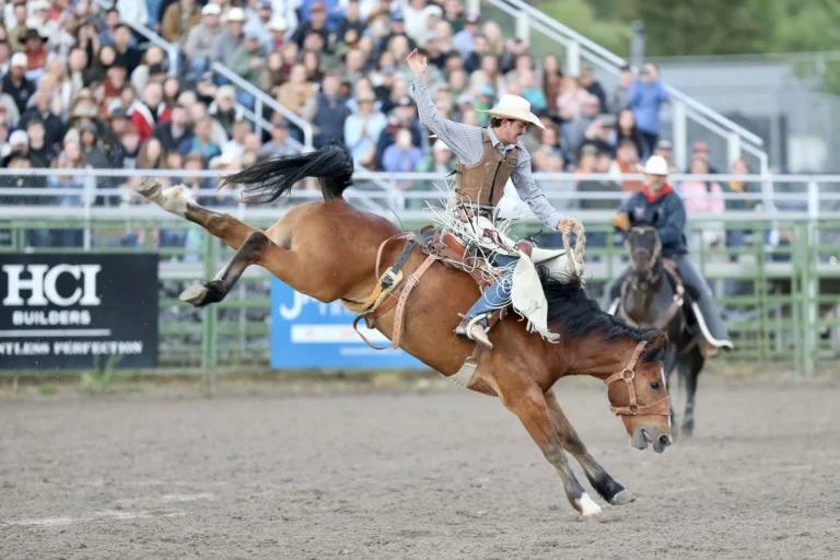 Jackson Hole Rodeo