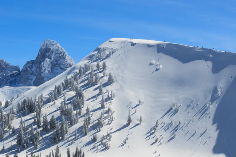 Nordic & Backcountry