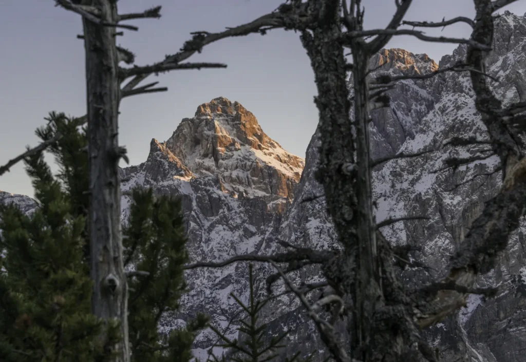 Jackson Hole Neighborhoods