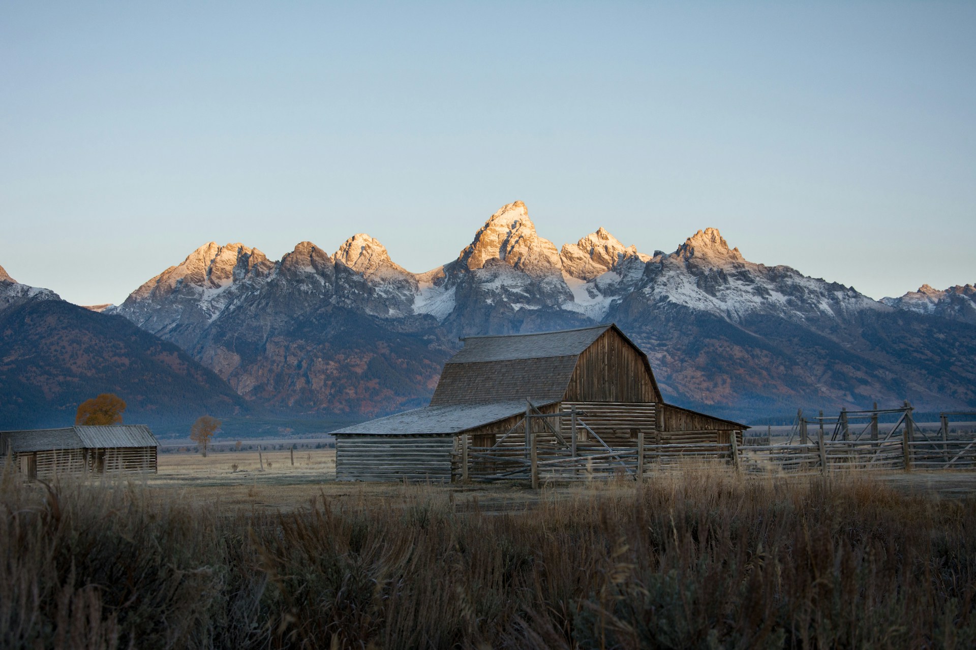 Jackson Hole Market Report