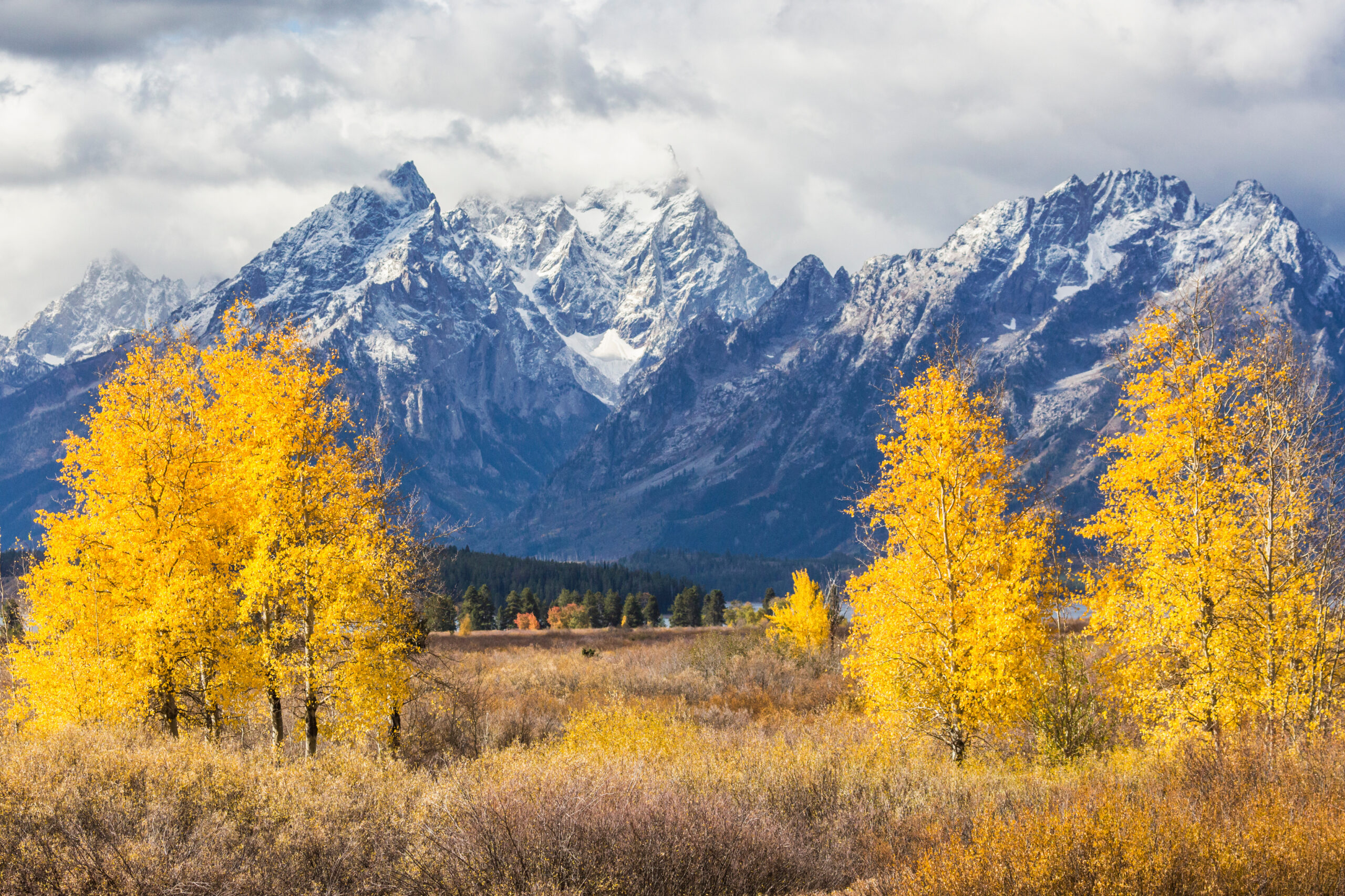 Jackson Hole Market Report